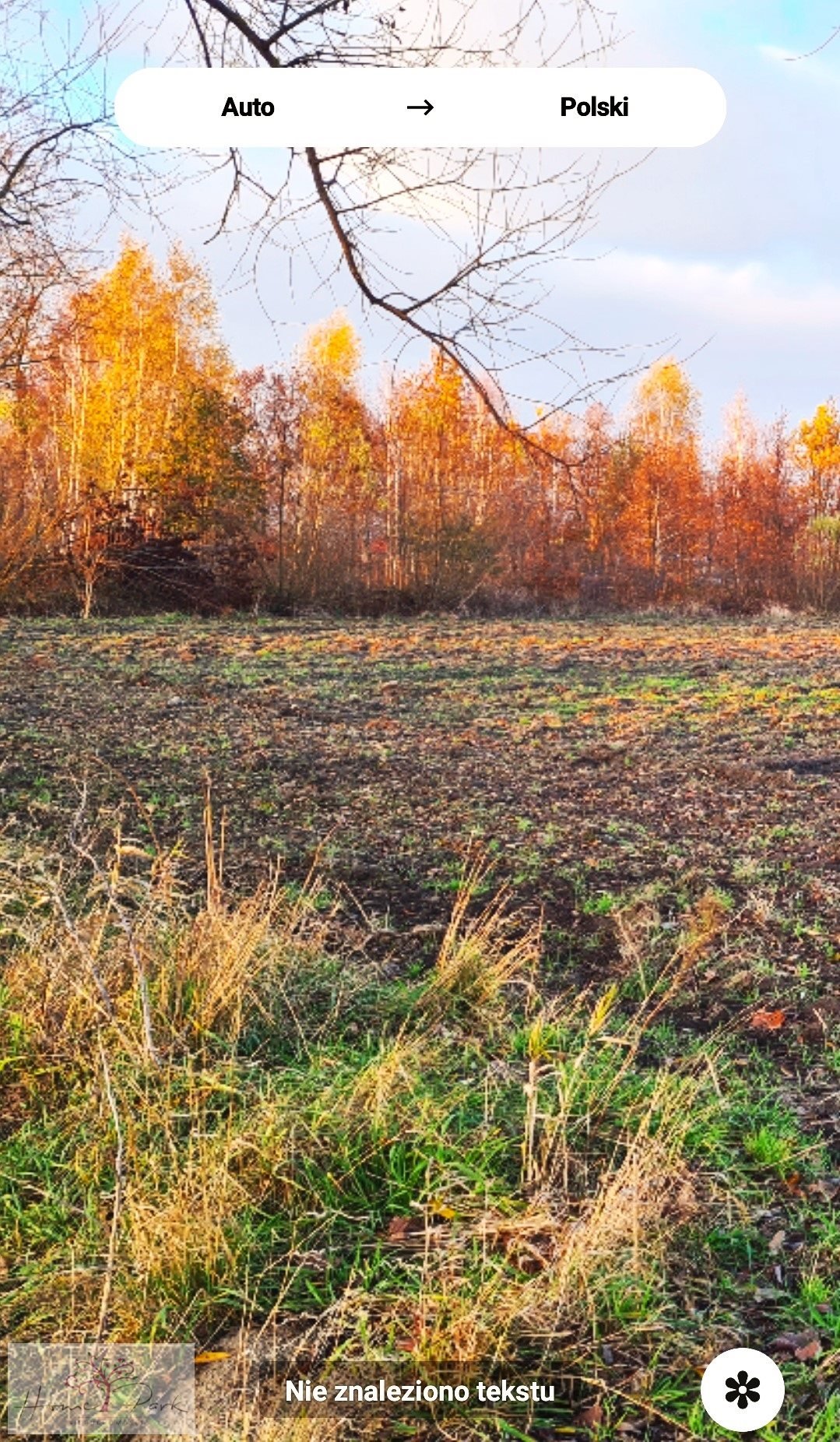 Działka budowlana na sprzedaż Feliksów  1 240m2 Foto 10