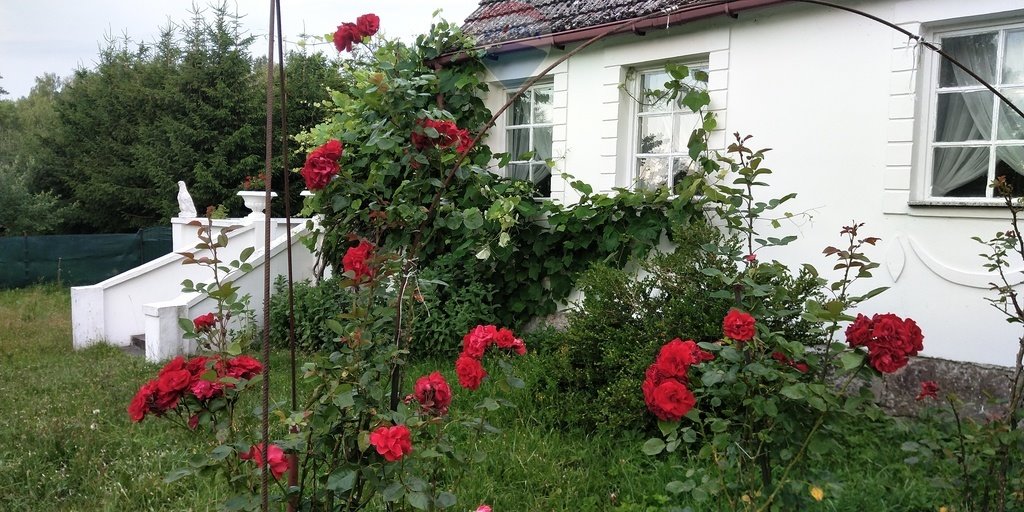 Dom na sprzedaż Grabno  200m2 Foto 16