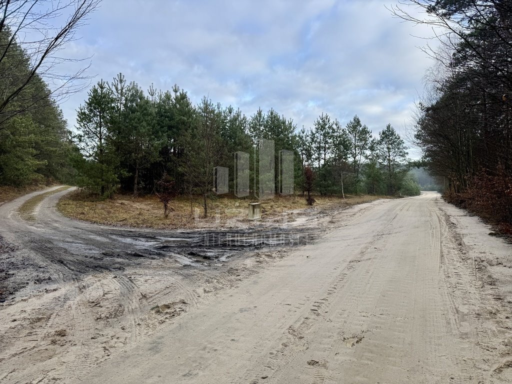 Działka budowlana na sprzedaż Osowo Leśne  3 064m2 Foto 6