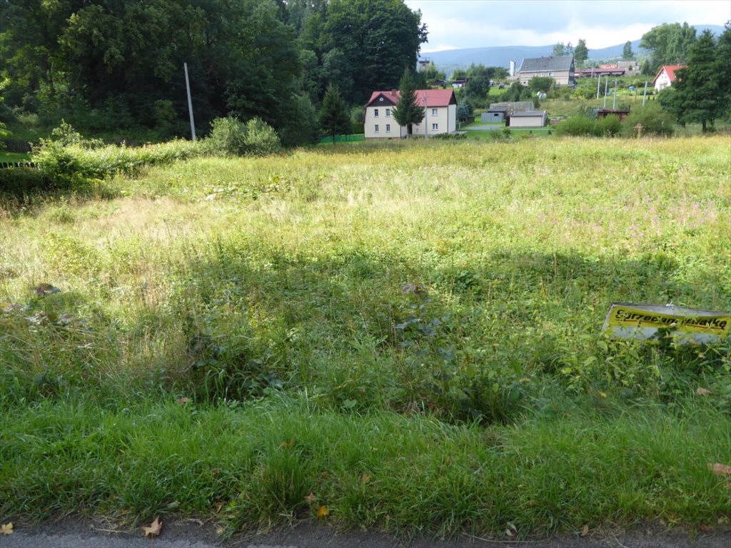 Sprzedam działkę 2224 m² w Leszczyncu z lasem i strumykiem Leszczyniec  2 224m2 Foto 1