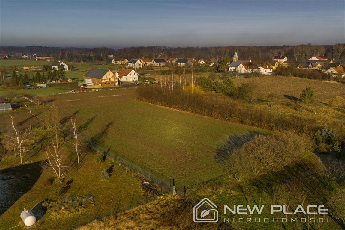 Działka budowlana na sprzedaż Kotowice, Główna  3 900m2 Foto 9