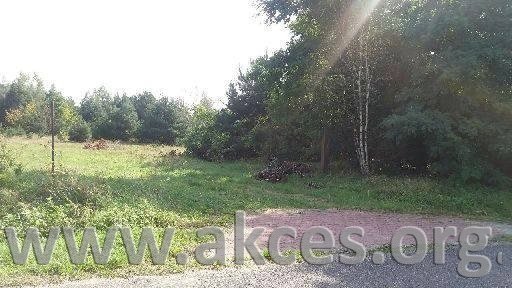Działka rolna na sprzedaż Kawęczyn  23 100m2 Foto 1