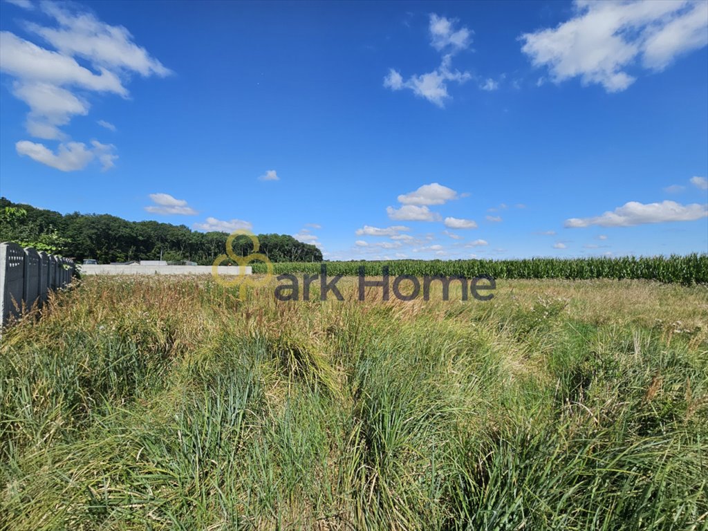 Działka budowlana na sprzedaż Bonikowo  696m2 Foto 5