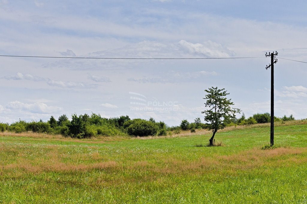 Działka budowlana na sprzedaż Pajtuny  105 000m2 Foto 2