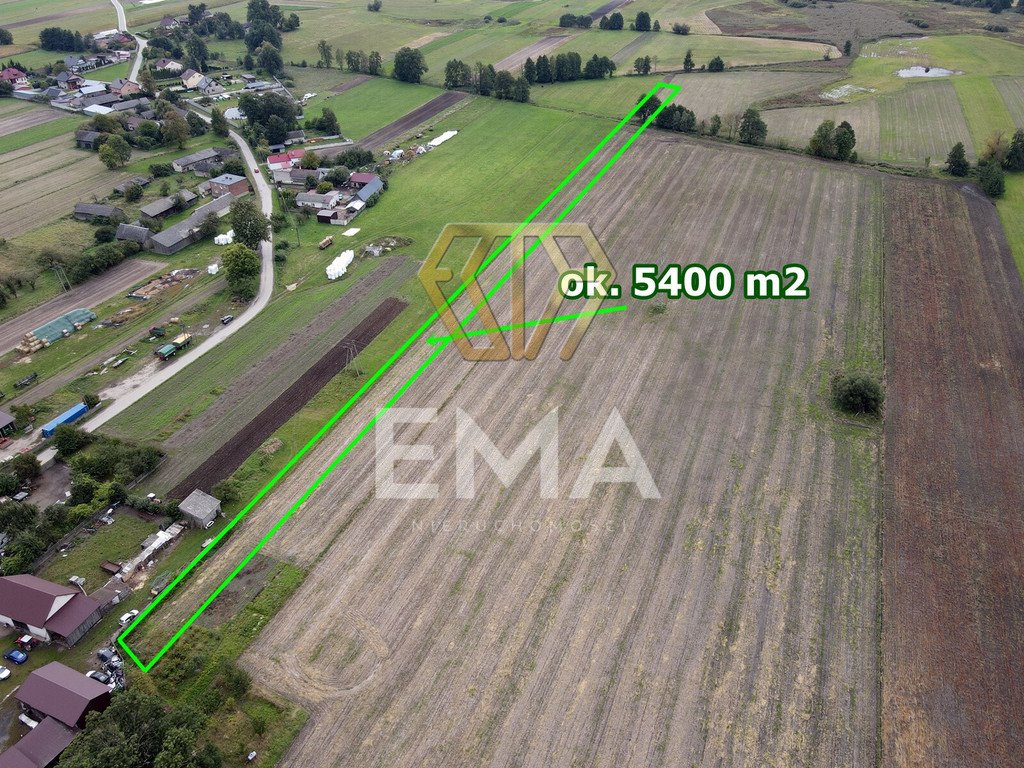 Zapraszam do zakupu działki rolnej 1,2 ha w Starym Koniecpolu Stary Koniecpol, Częstochowska  12 000m2 Foto 1