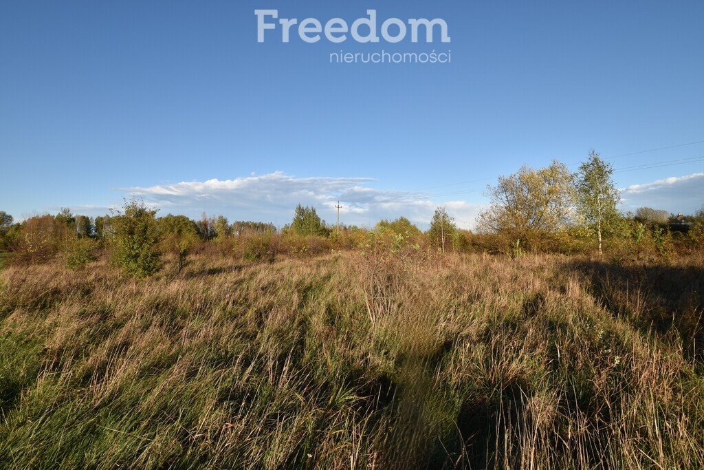 Działka inna na sprzedaż Broniów  6 500m2 Foto 13