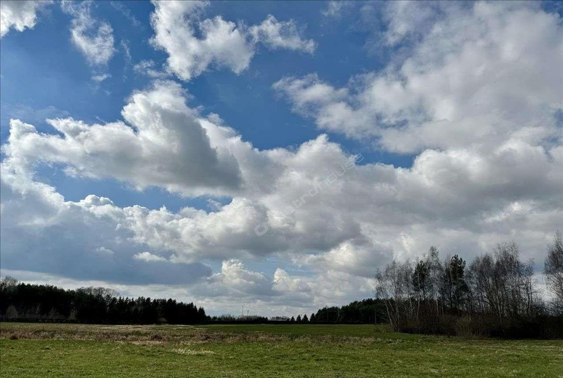 Działka budowlana na sprzedaż Kotorydz  18 659m2 Foto 3