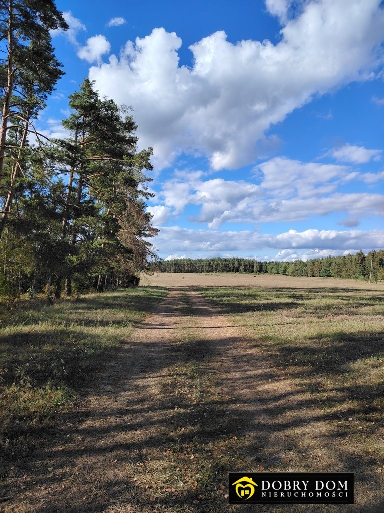 Działka budowlana na sprzedaż Danowskie  1 000m2 Foto 4