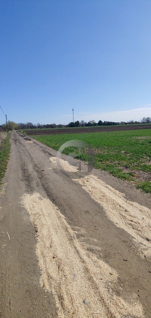 Polecam działki 15 arów z mediami w spokojnej okolicy Gorzów Wielkopolski, Zakanale  1 500m2 Foto 1