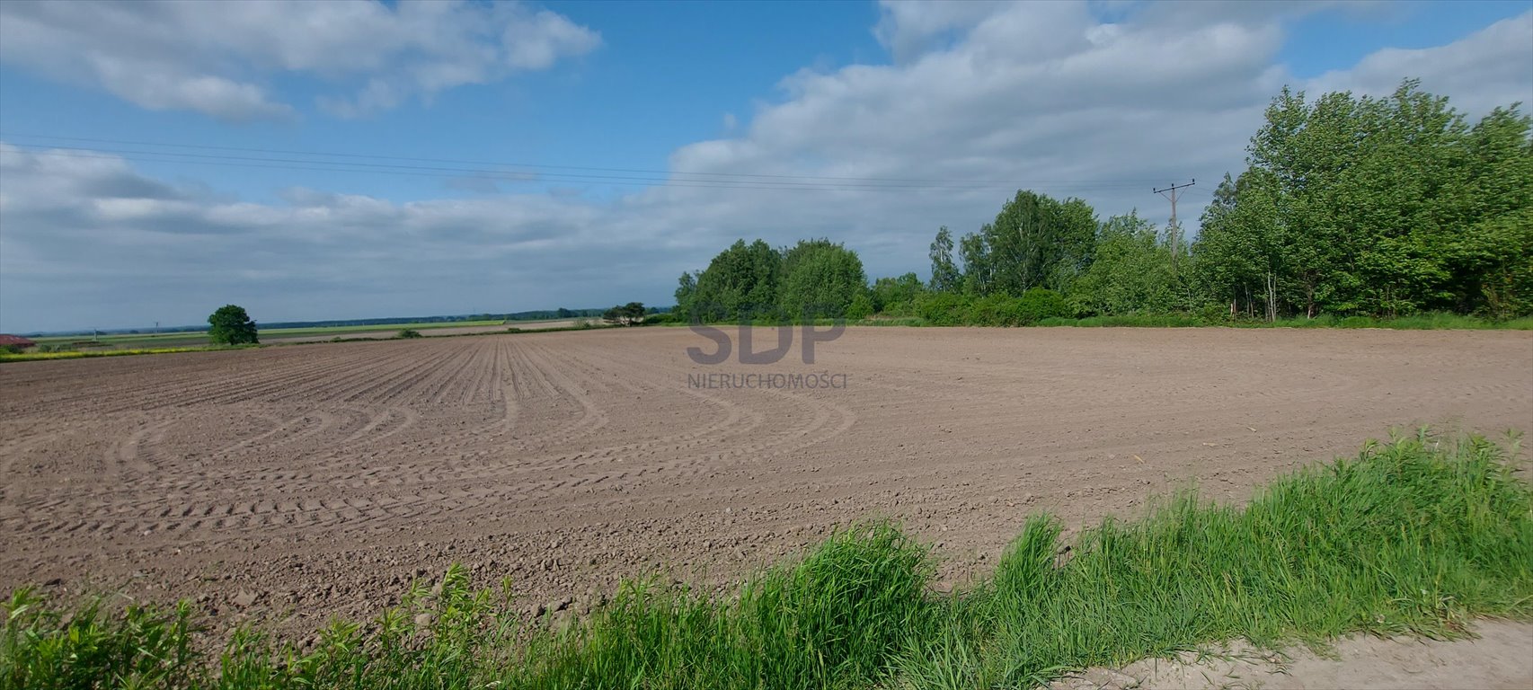 Działka rolna na sprzedaż Wilkszyn, Wilkszyn  5 900m2 Foto 5