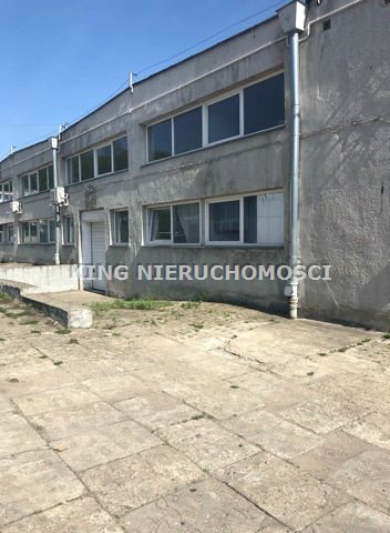 Lokal użytkowy na wynajem Szczecin, Żelechowa 245m2 Foto 1 Lokal użytkowy na wynajem Szczecin, Żelechowa 245m2 Foto 1