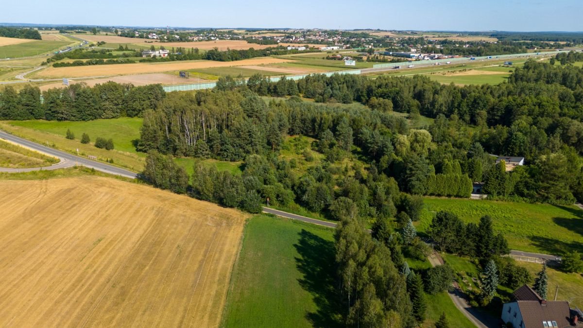 Działka budowlana na sprzedaż Woźniki, Sulów  1 319m2 Foto 6