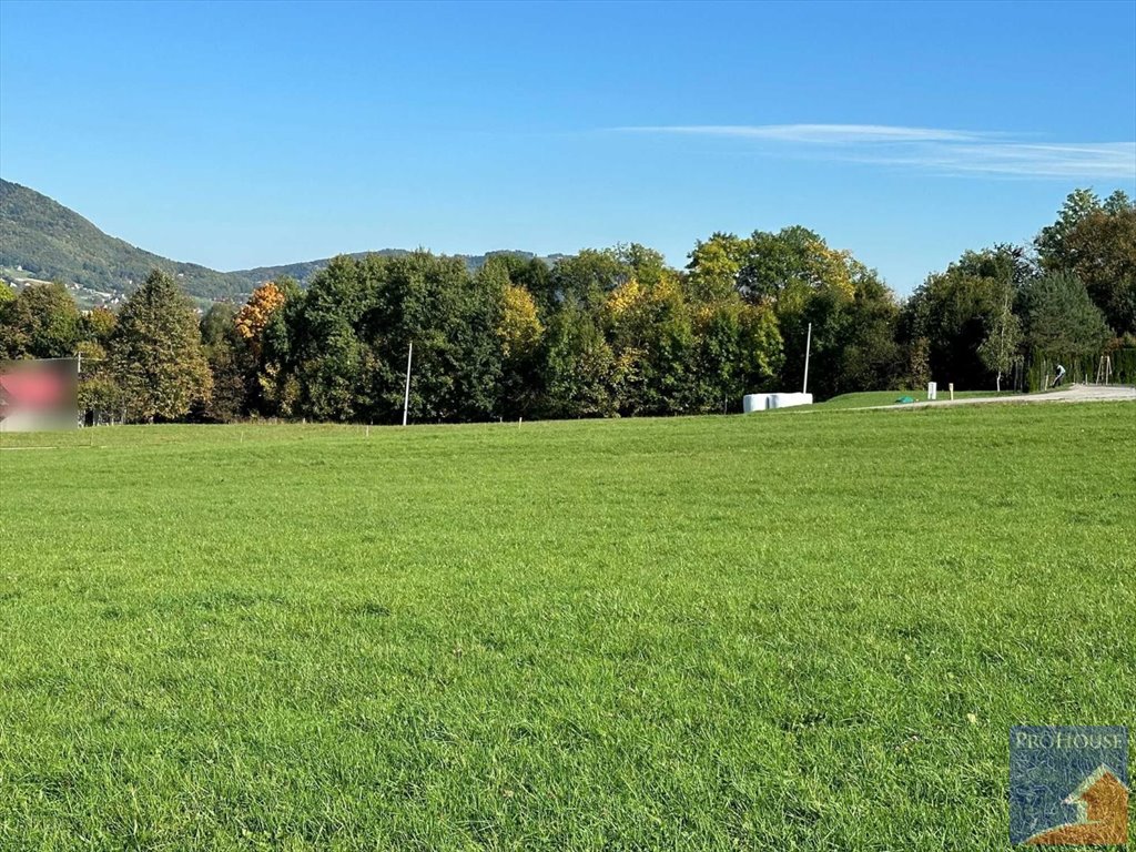 Działka budowlana na sprzedaż Męcina  6 600m2 Foto 11