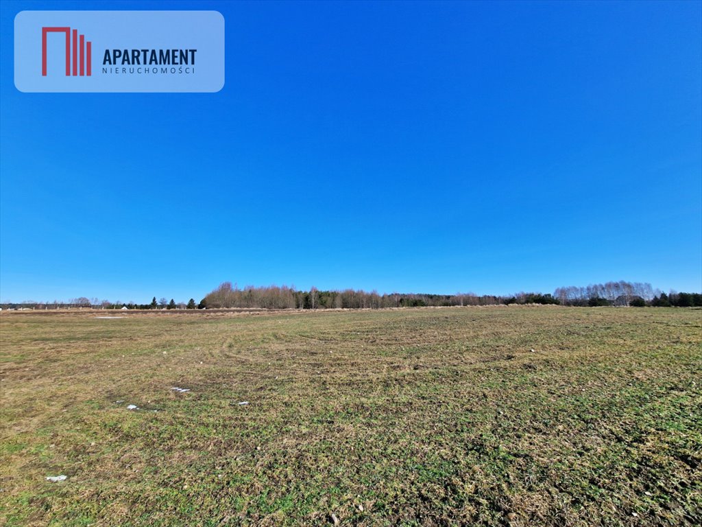 Na sprzedaż działka 3677 m² pod dom w otoczeniu natury Węsiory  3 677m2 Foto 1