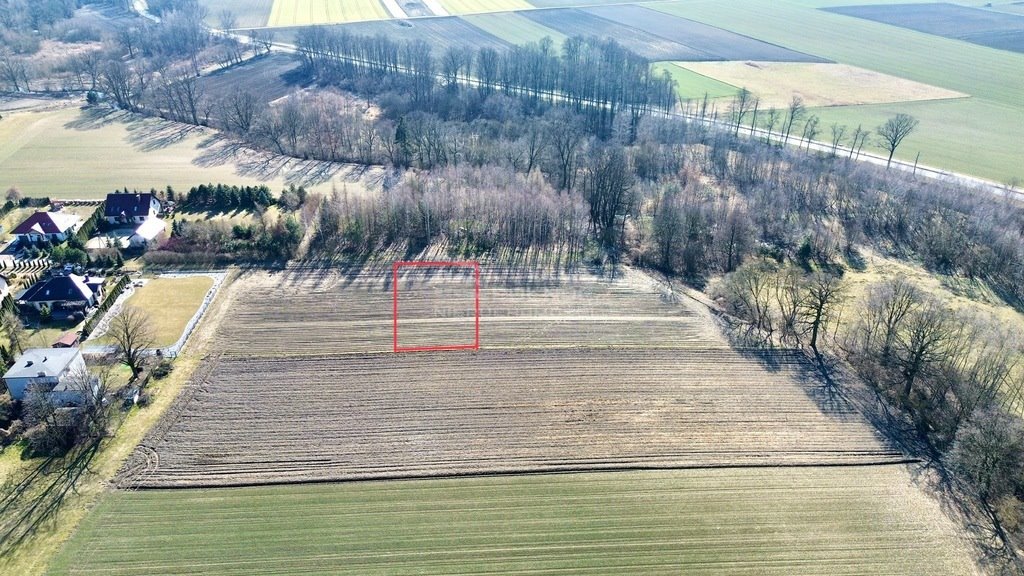 Działka budowlana na sprzedaż Przyszowice  1 150m2 Foto 5