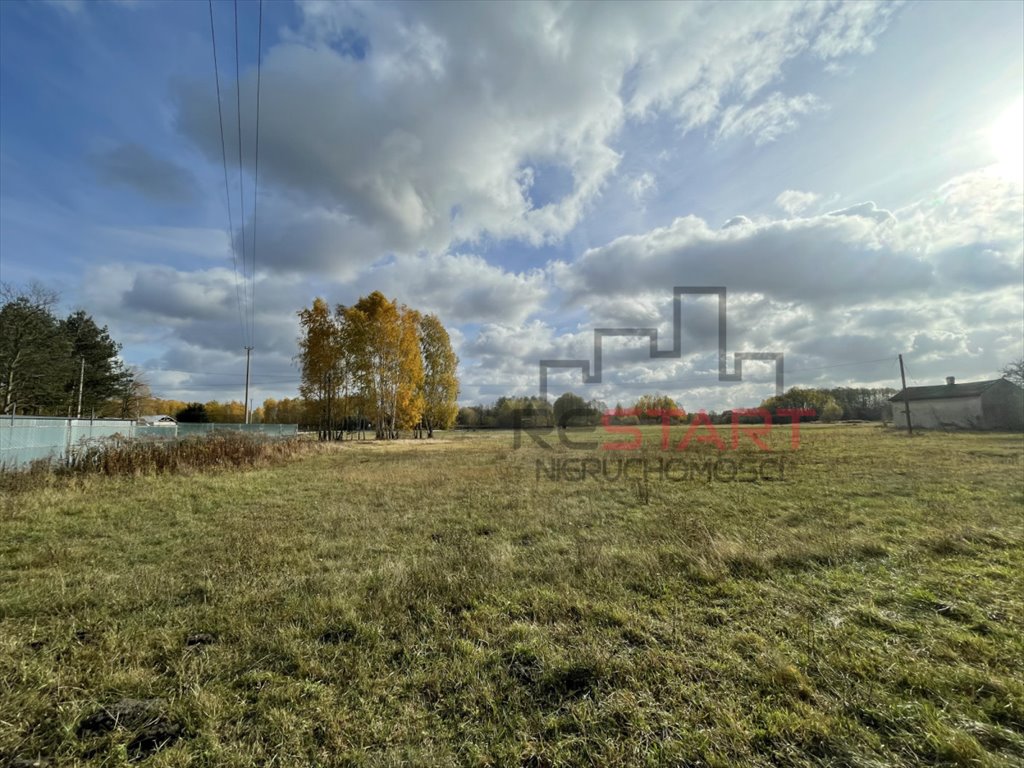 Zdjęcie 5