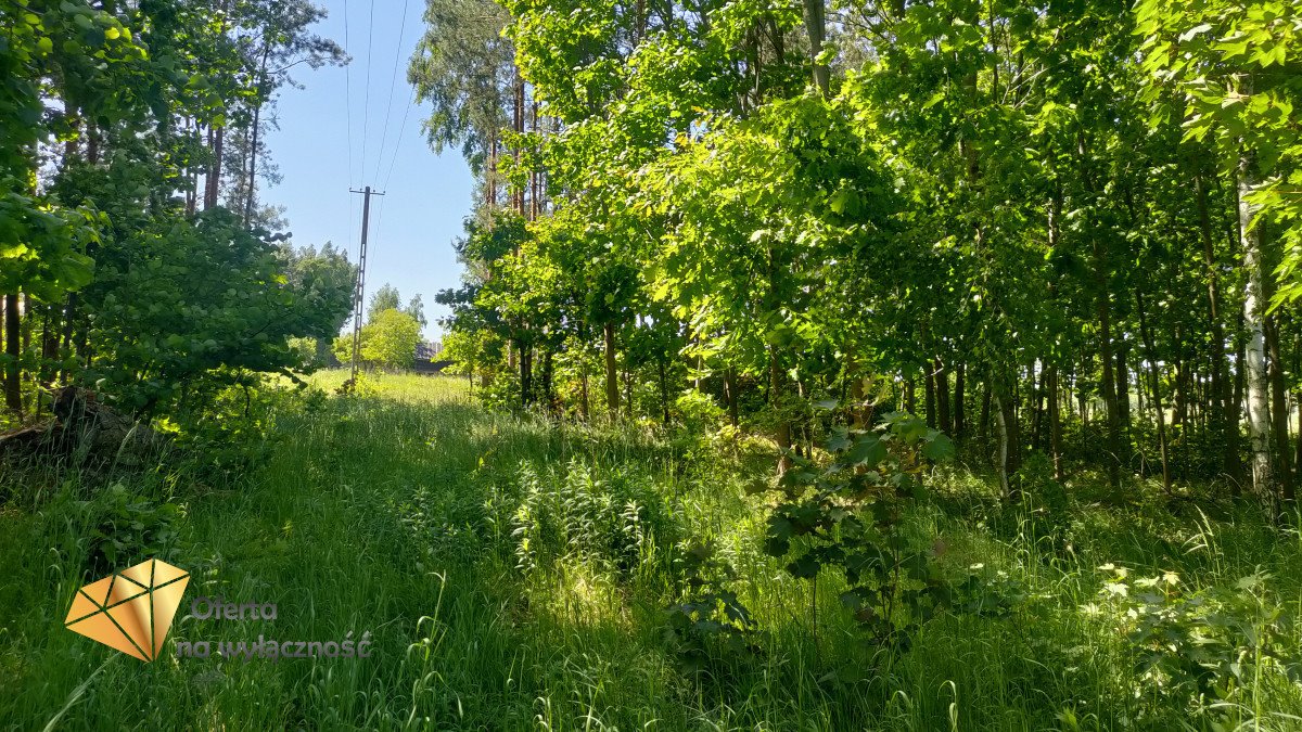 Działka budowlana na sprzedaż Bratnik  8 900m2 Foto 4