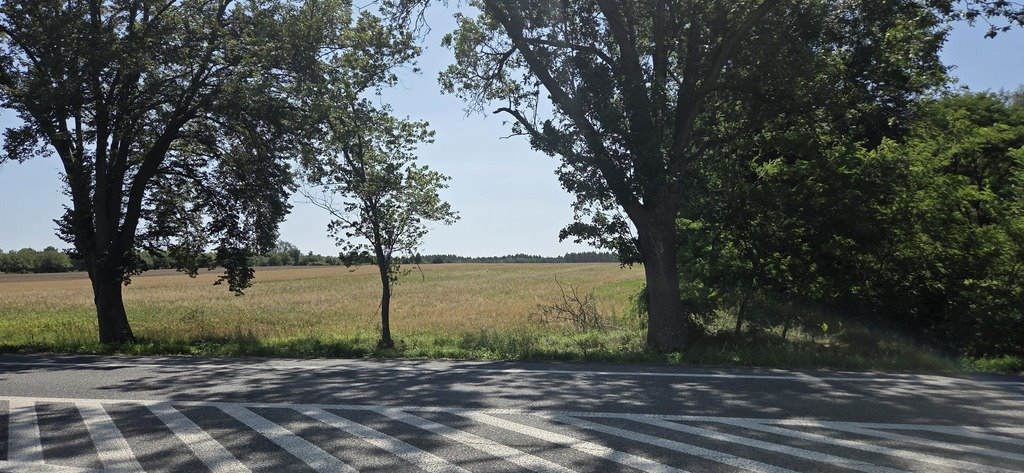 Zdjęcie 2