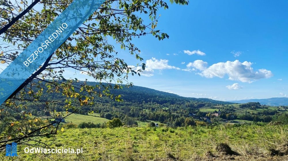 Działka z lasem i widokiem na góry, 30 arów Zakrzów  2 882m2 Foto 1