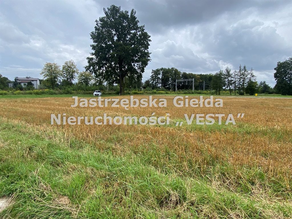 Działka budowlana na sprzedaż Mnich  1 707m2 Foto 4