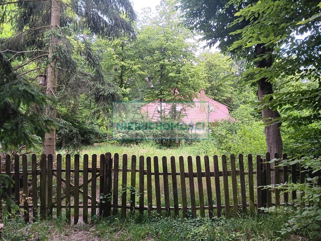 Zapraszam do obejrzenia działki 1809 m² w Podkowie Leśnej Podkowa Leśna  1 809m2 Foto 1