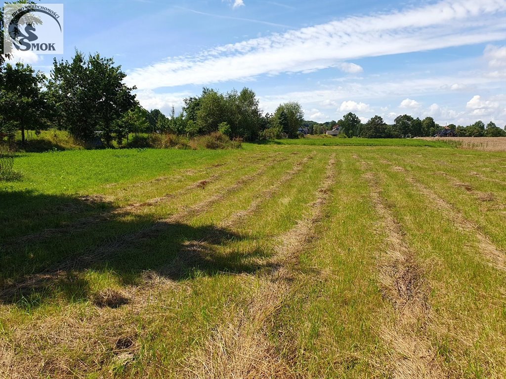 Zapraszam do zakupu widokowej działki rolnej 38 a w spokojnej okolicy Wola Radziszowska  3 800m2 Foto 1