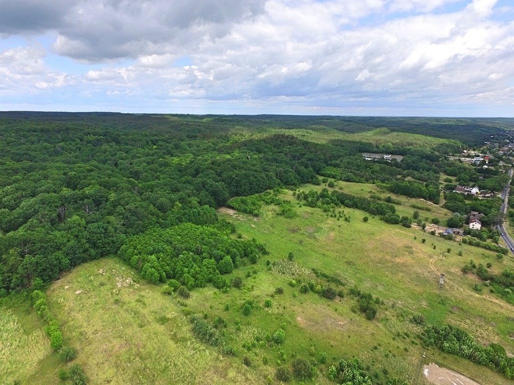 Działka budowlana na sprzedaż Bogdaniec  39 100m2 Foto 3