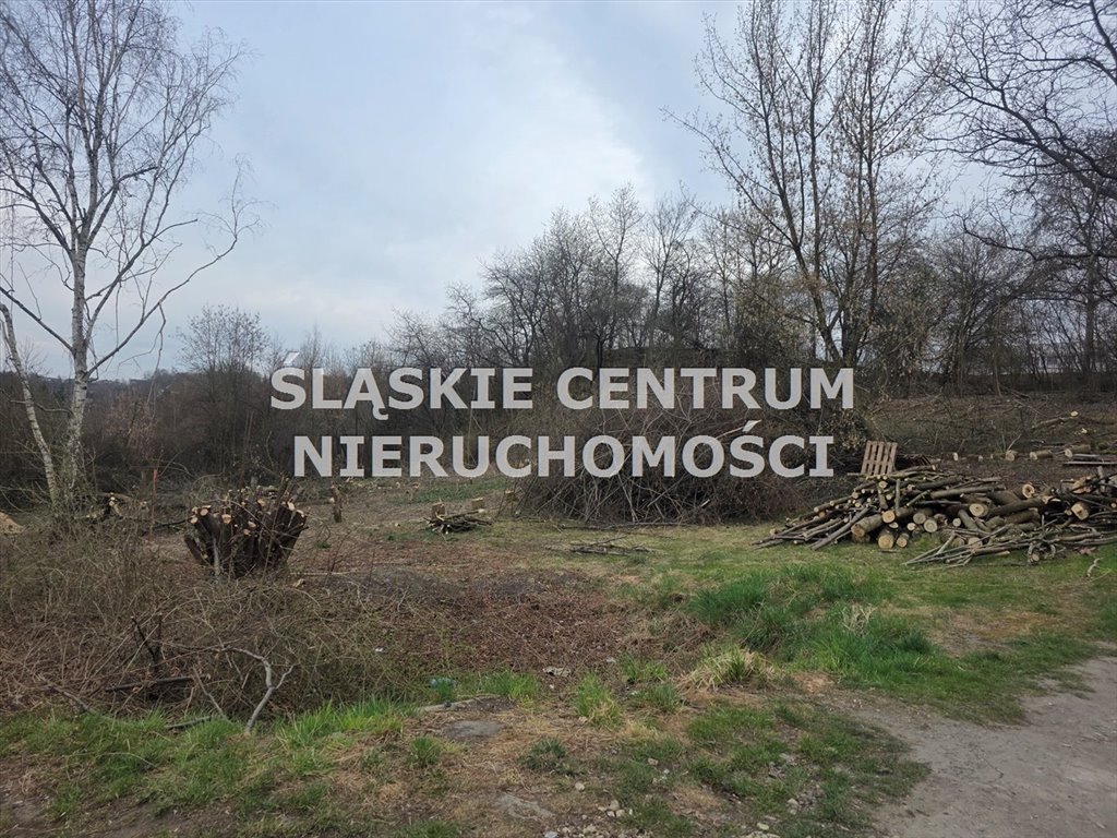 Zdjęcie 3
