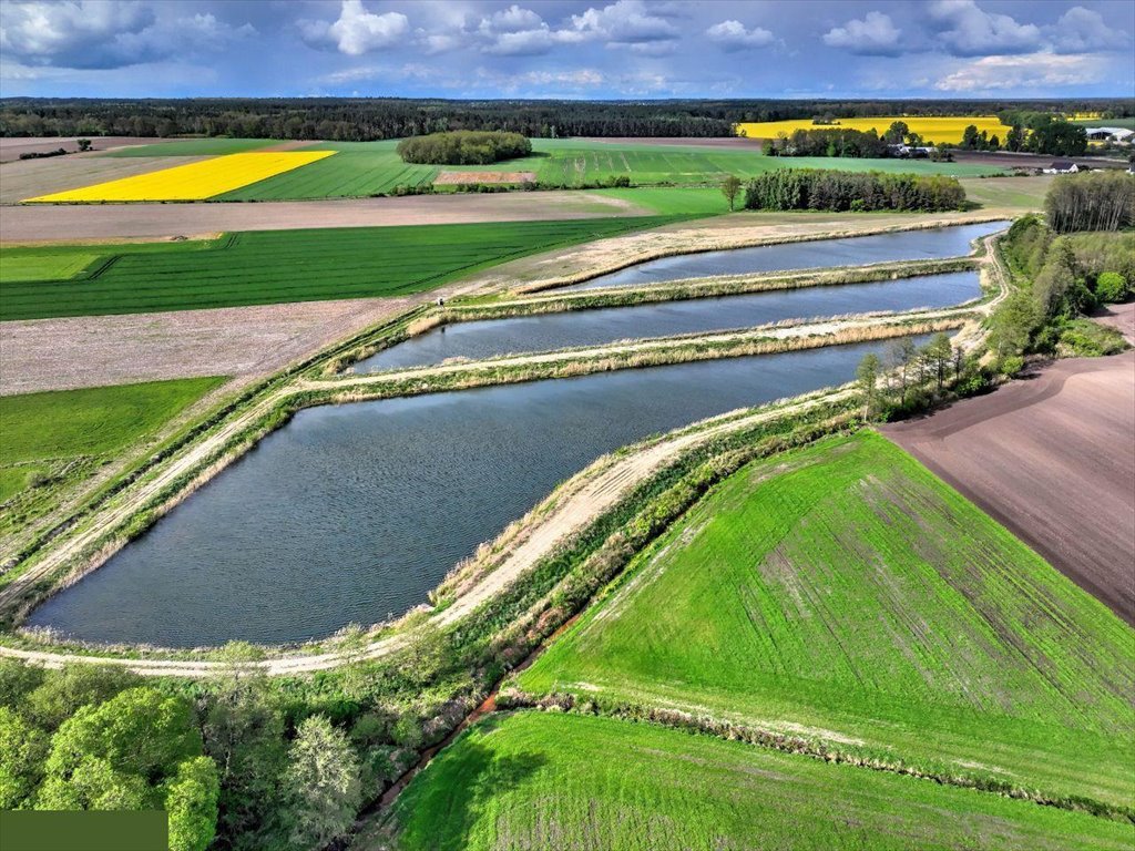 Działka inwestycyjna na sprzedaż Wziąchowo Małe  130 892m2 Foto 3