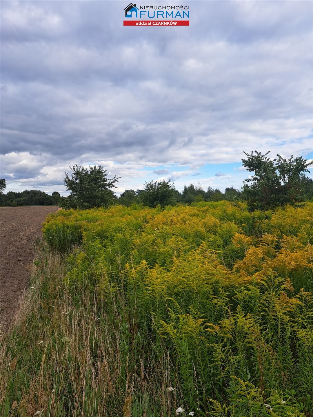 Działka usługowa 4760 m² w Ługi Ujskie – inwestuj! Ługi Ujskie  4 760m2 Foto 1