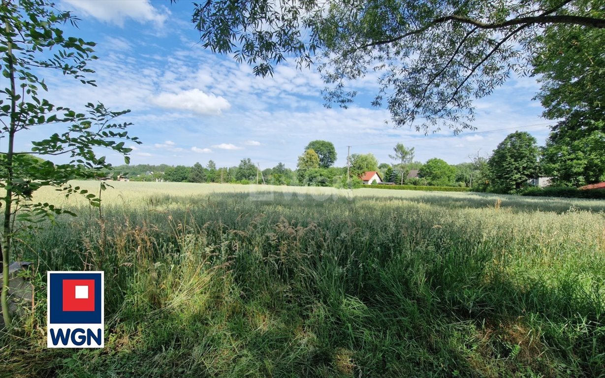 Działka budowlana na sprzedaż Skoczów, Pogórze  2 749m2 Foto 5