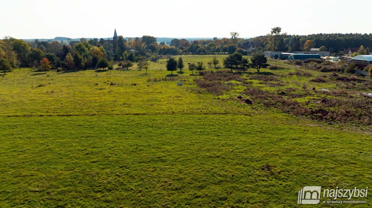 Działka rolna na sprzedaż Sarbia  6 500m2 Foto 3