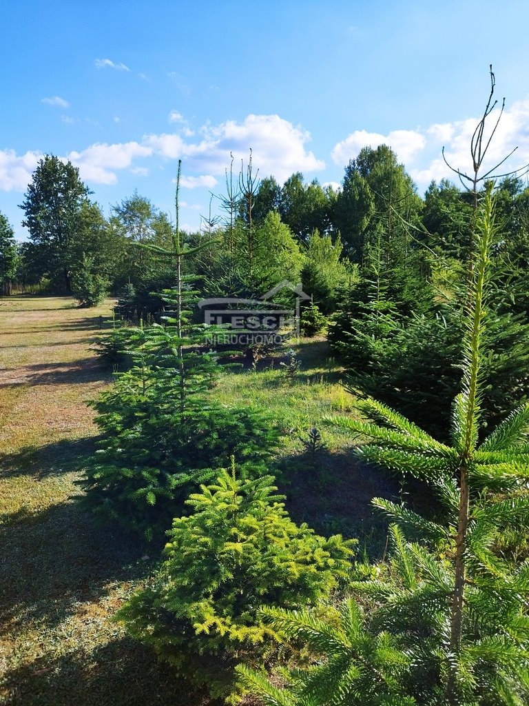 Działka budowlana na sprzedaż Łazy  6 466m2 Foto 2