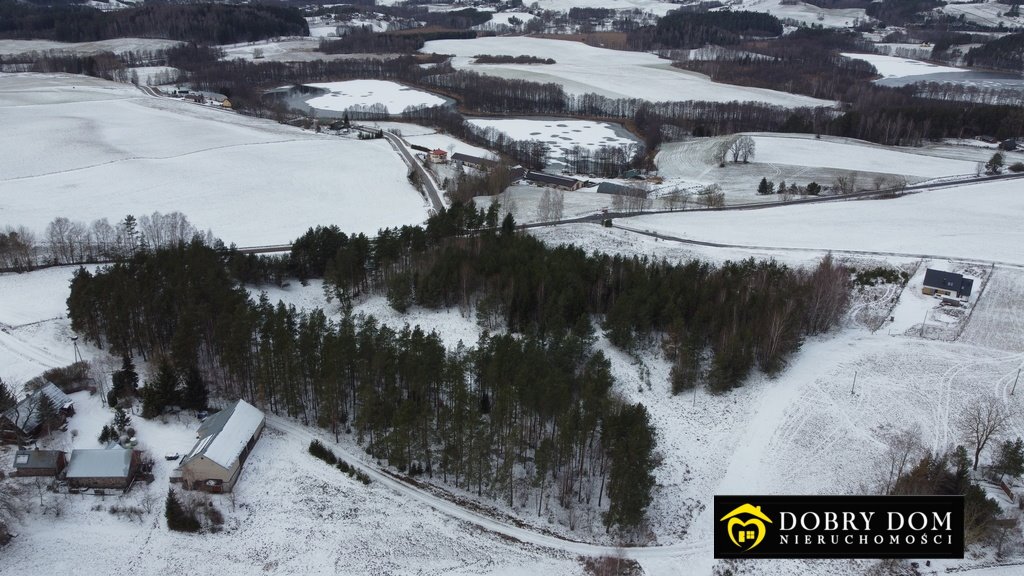 Działka leśna na sprzedaż Sidory  17 400m2 Foto 3