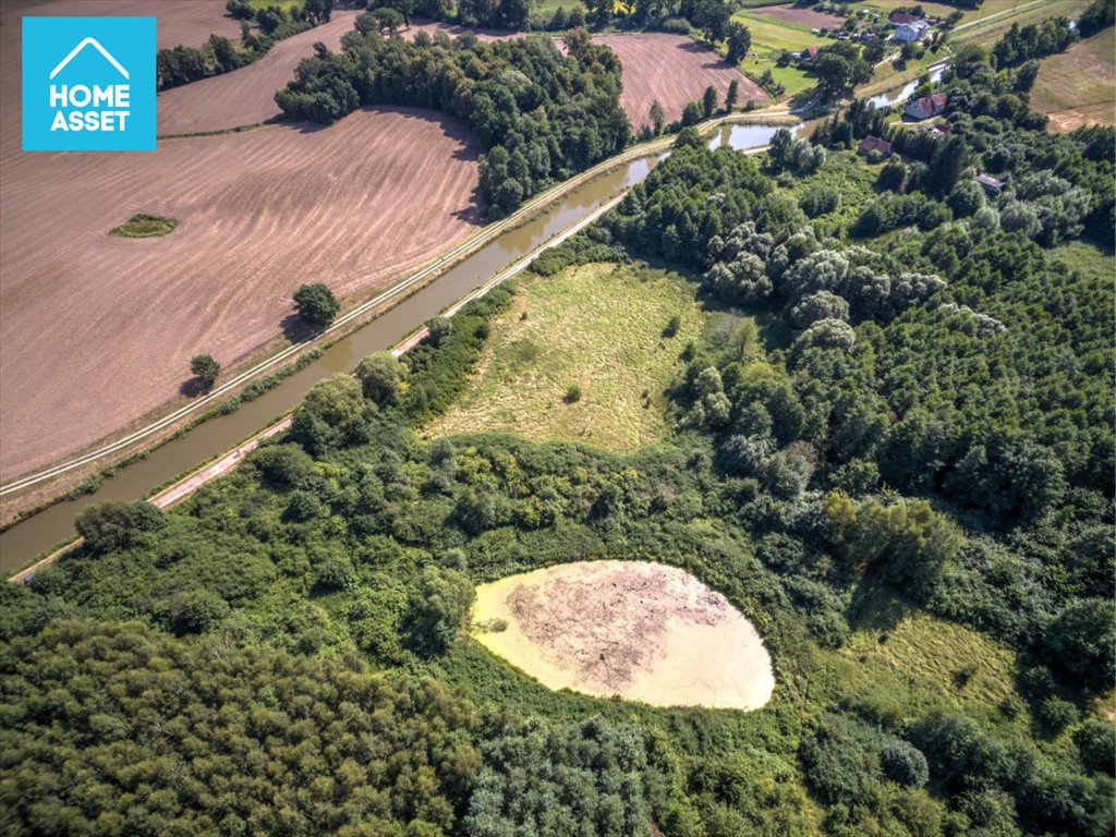 Działka siedliskowa na sprzedaż Krasin  12 000m2 Foto 10