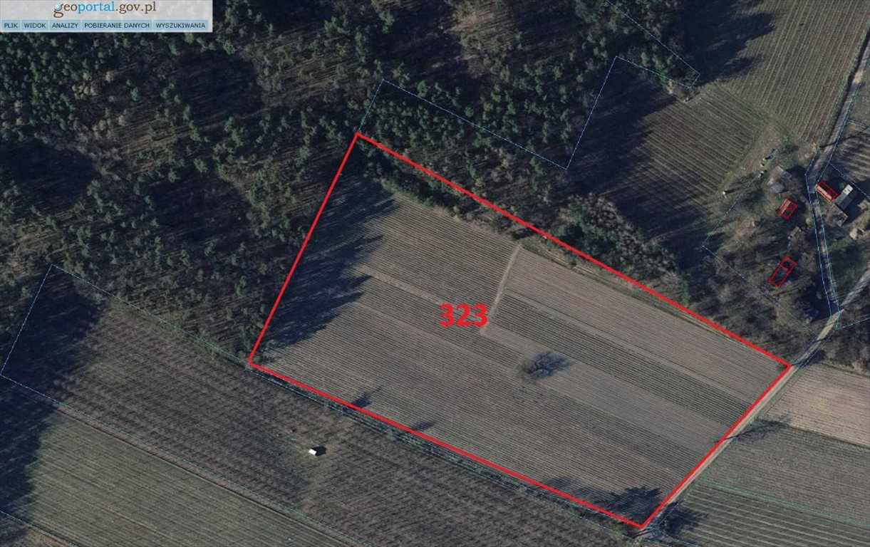 Działka rolna na sprzedaż Michałów-Parcele  27 500m2 Foto 1