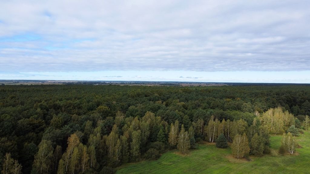 Działka leśna na sprzedaż Cieplice  27 000m2 Foto 4