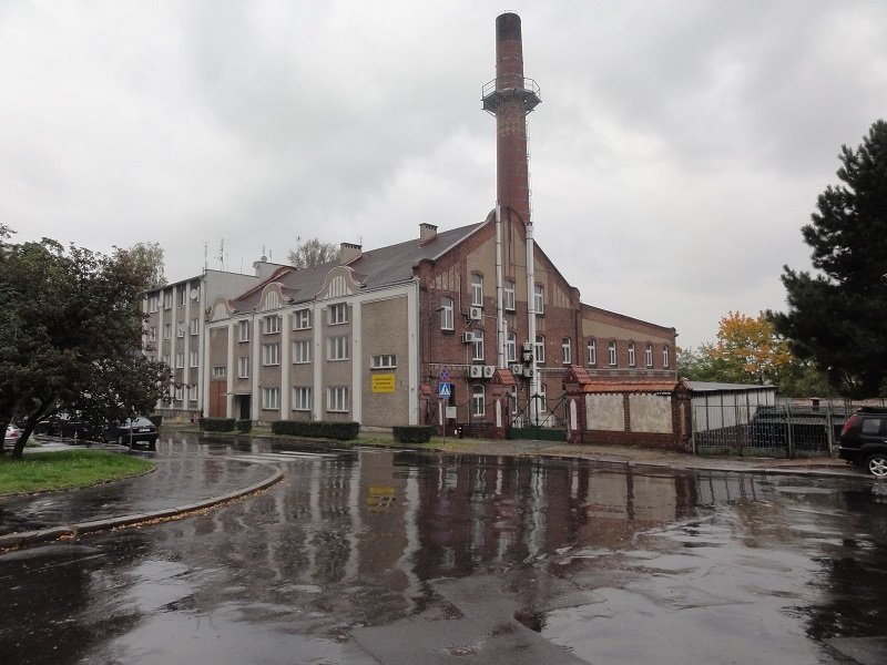 Na sprzedaż duży lokal użytkowy o pow. 1599 m² z magazynem i ogrodem Brzeg, Krzyszowica  1 599m2 Foto 1