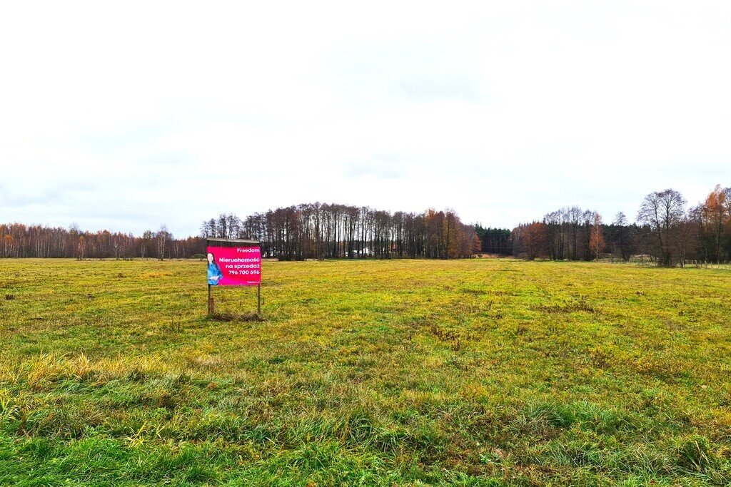 Działka siedliskowa na sprzedaż Brzuza  9 400m2 Foto 2