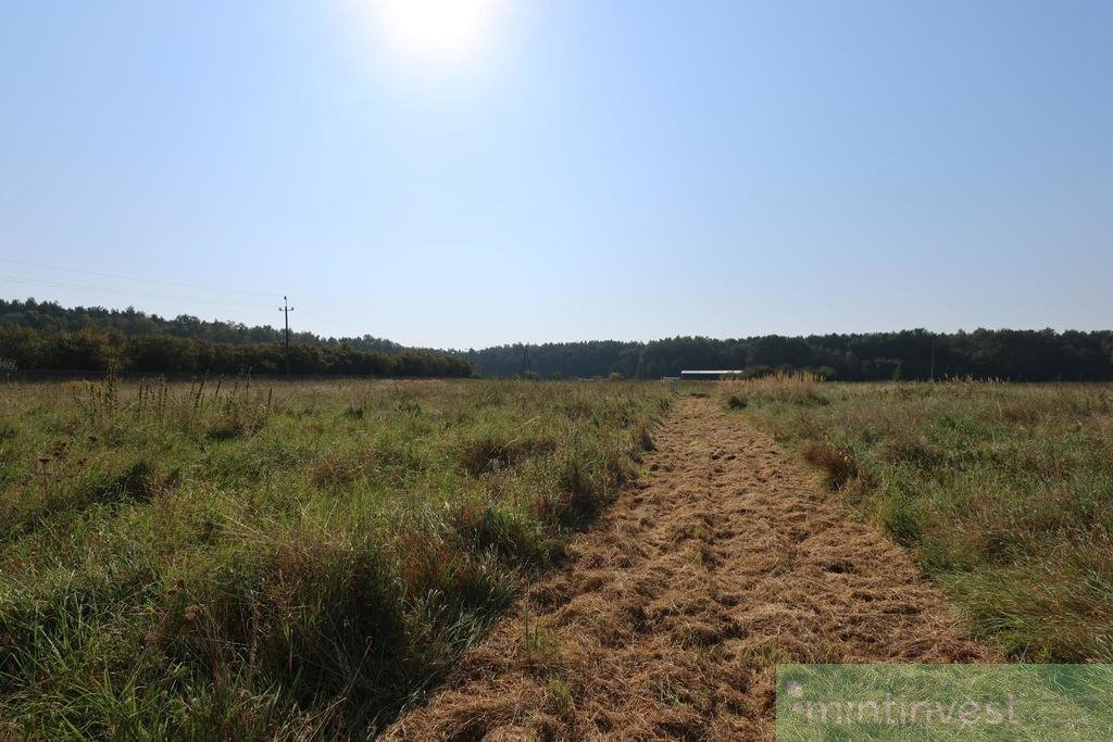 Działka inna na sprzedaż Modrzewie  1 050m2 Foto 6