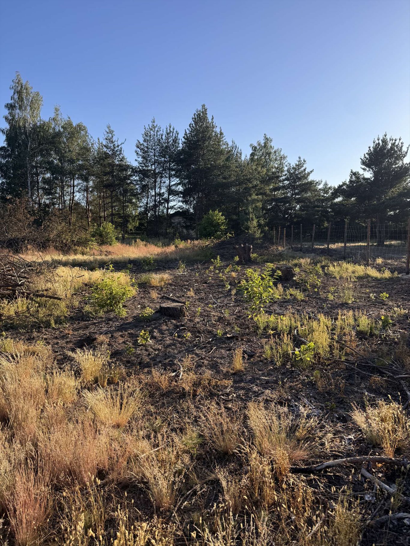 Działka budowlana na sprzedaż Dobiesz, Dobiesz  3 200m2 Foto 1