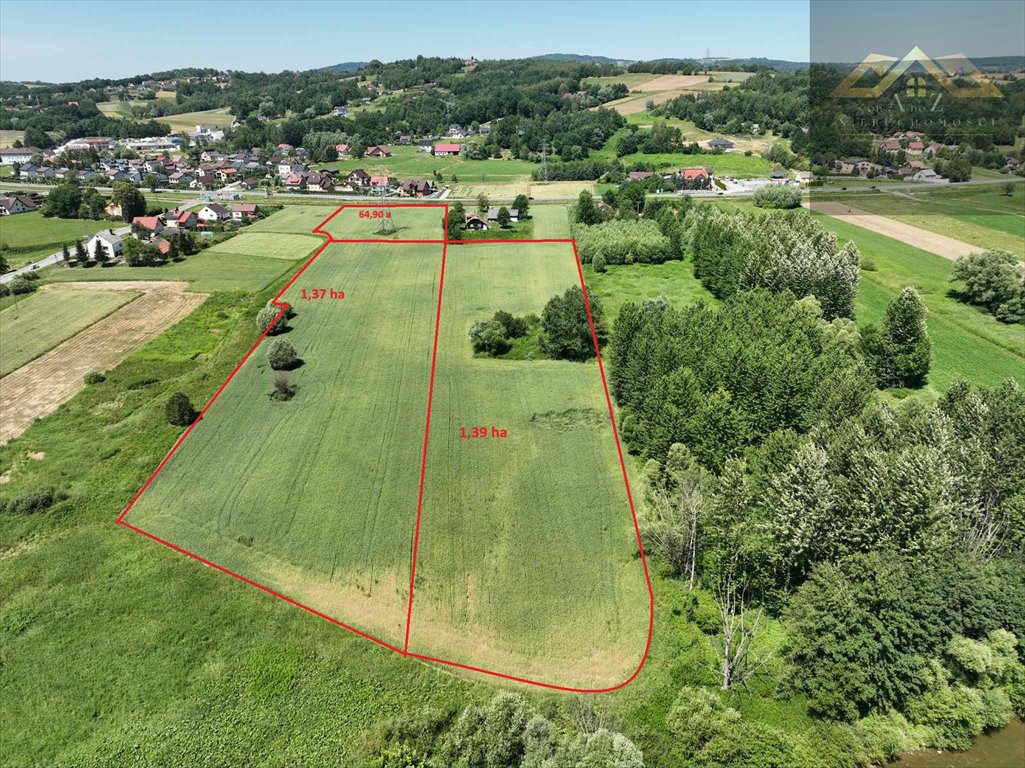 Działka budowlana na sprzedaż Chojnik  34 200m2 Foto 1