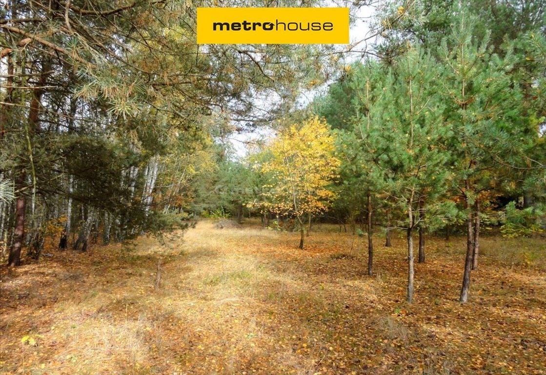 Działka inna na sprzedaż Iły  4 271m2 Foto 1