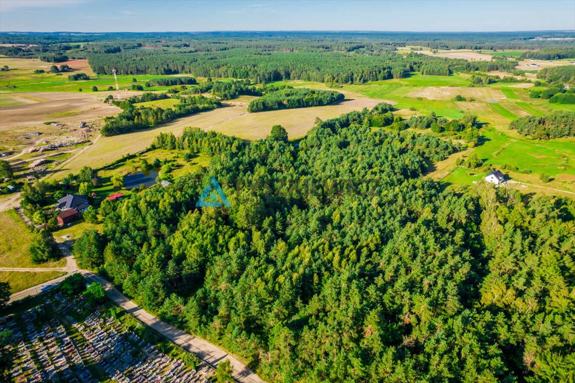 Działka siedliskowa na sprzedaż Rokity  10 001m2 Foto 8