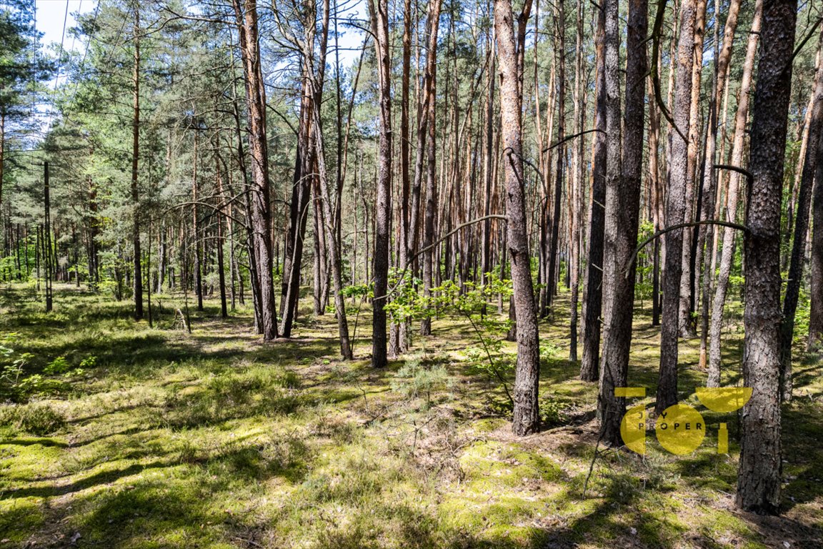 Działka budowlana na sprzedaż Wilga  4 367m2 Foto 1
