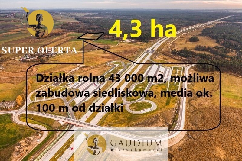 Działka siedliskowa na sprzedaż Woźniki  43 000m2 Foto 1