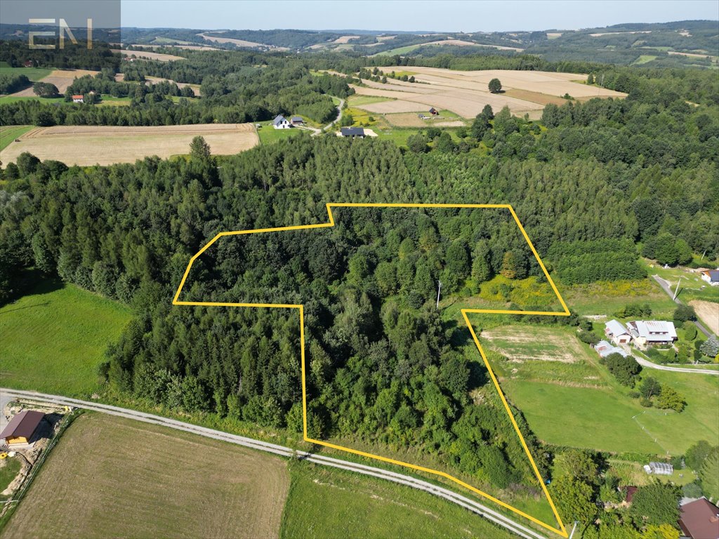 Przestronna działka 1,31 ha z mediami i potencjałem Dobrzechów  13 100m2 Foto 1