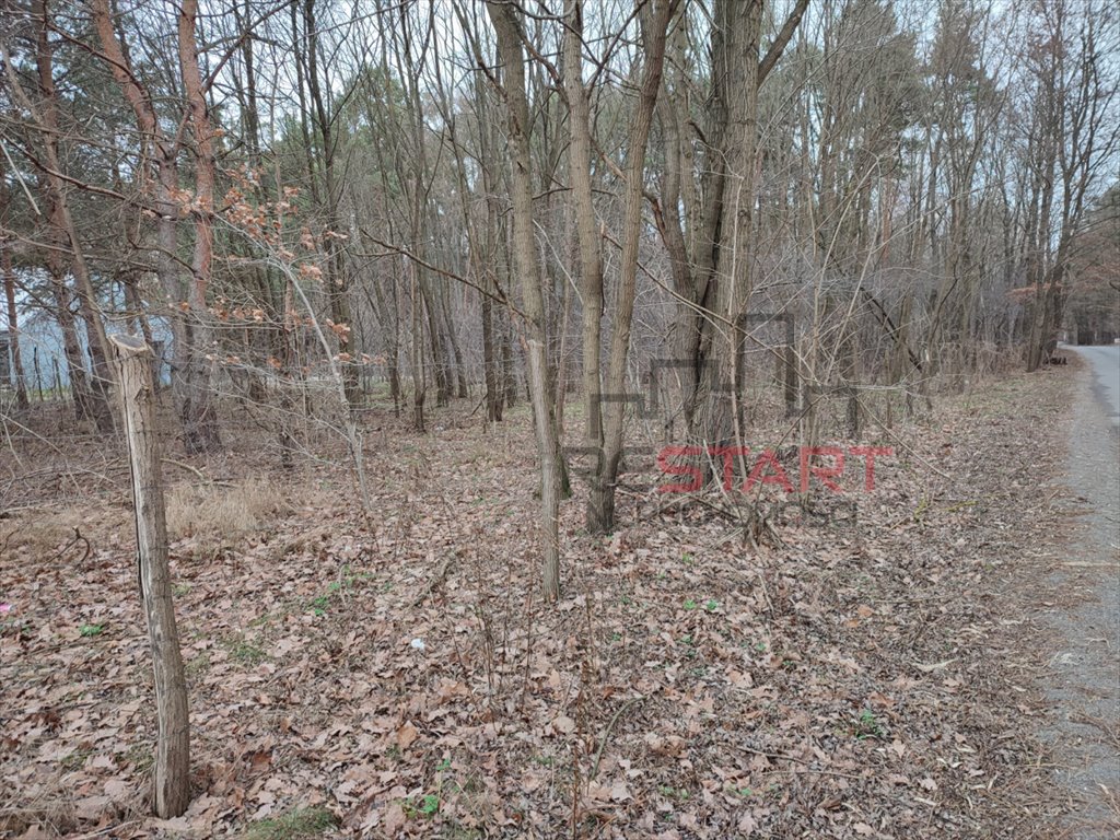 Działka budowlana na sprzedaż Książenice  1 550m2 Foto 12