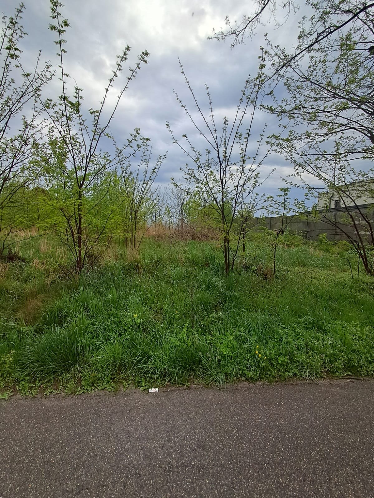 Działka rolna na sprzedaż Opatówek, Chełmce  1 769m2 Foto 1