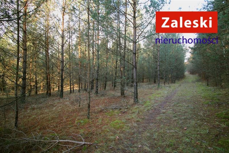 Działka inna na sprzedaż Postołowo, Cząstkowo 15 200m2 Foto 1 Działka inna na sprzedaż Postołowo, Cząstkowo 15 200m2 Foto 1